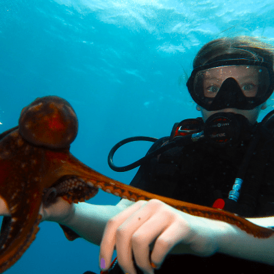 Scuba Diving