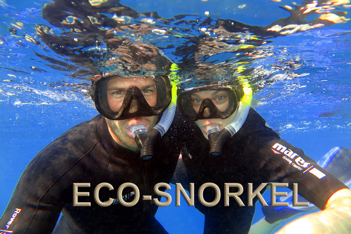 Eco Snorkel Tour